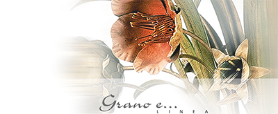 Passeri International Grano